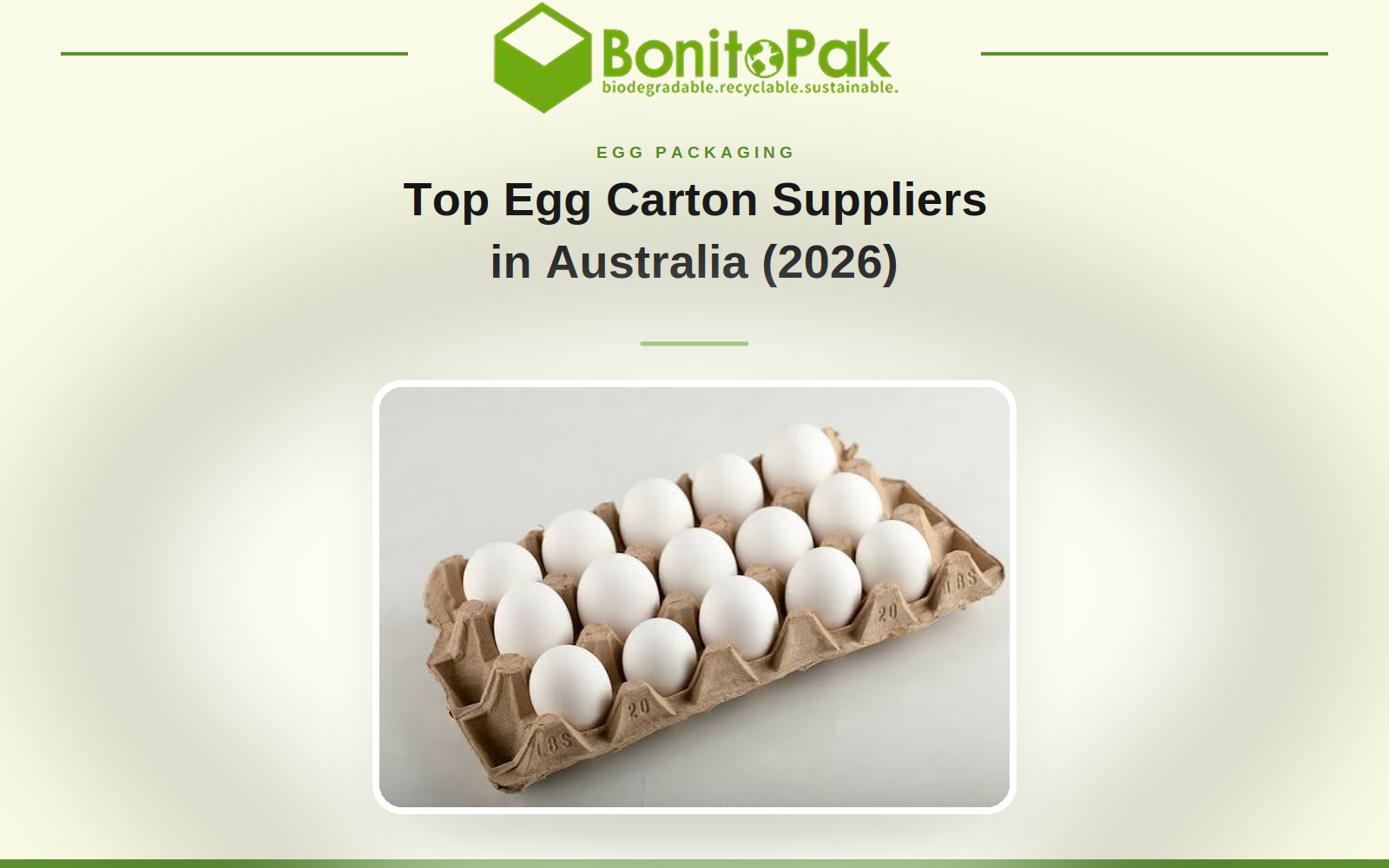 Egg Carton Suppliers