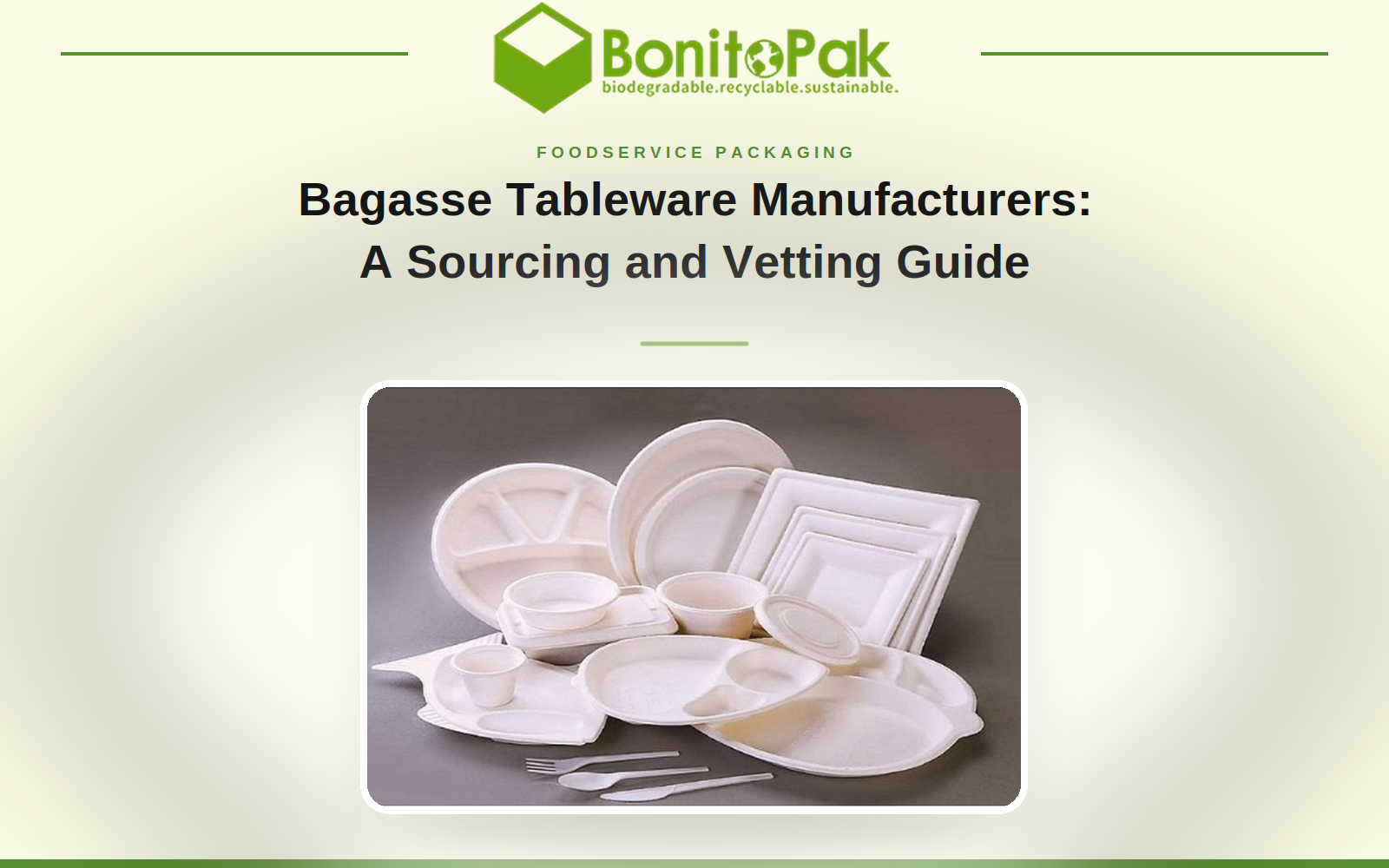 Bagasse Tableware Manufacturers: A Sourcing and Vetting Guide