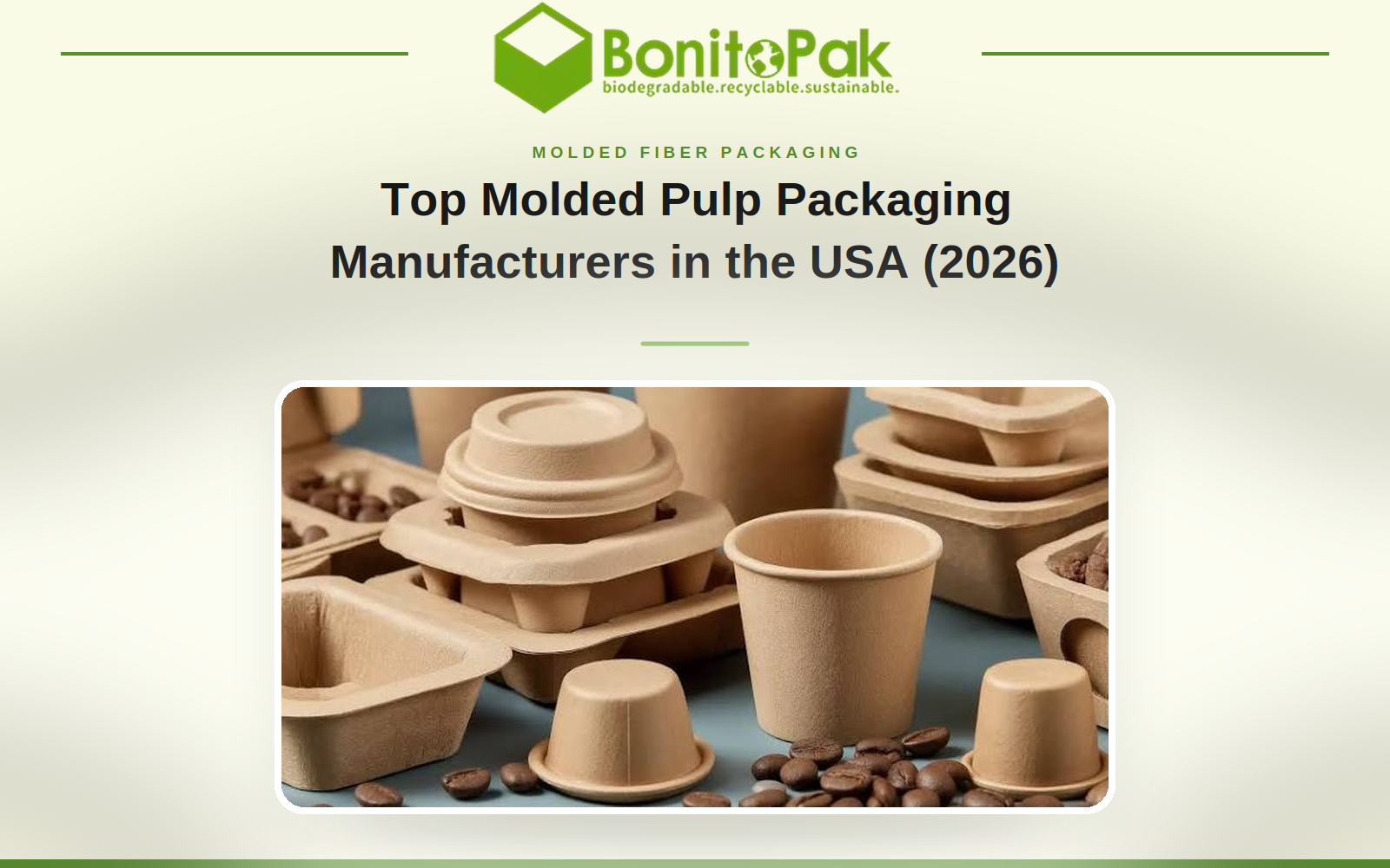 Top Molded Pulp Packaging Manufacturers