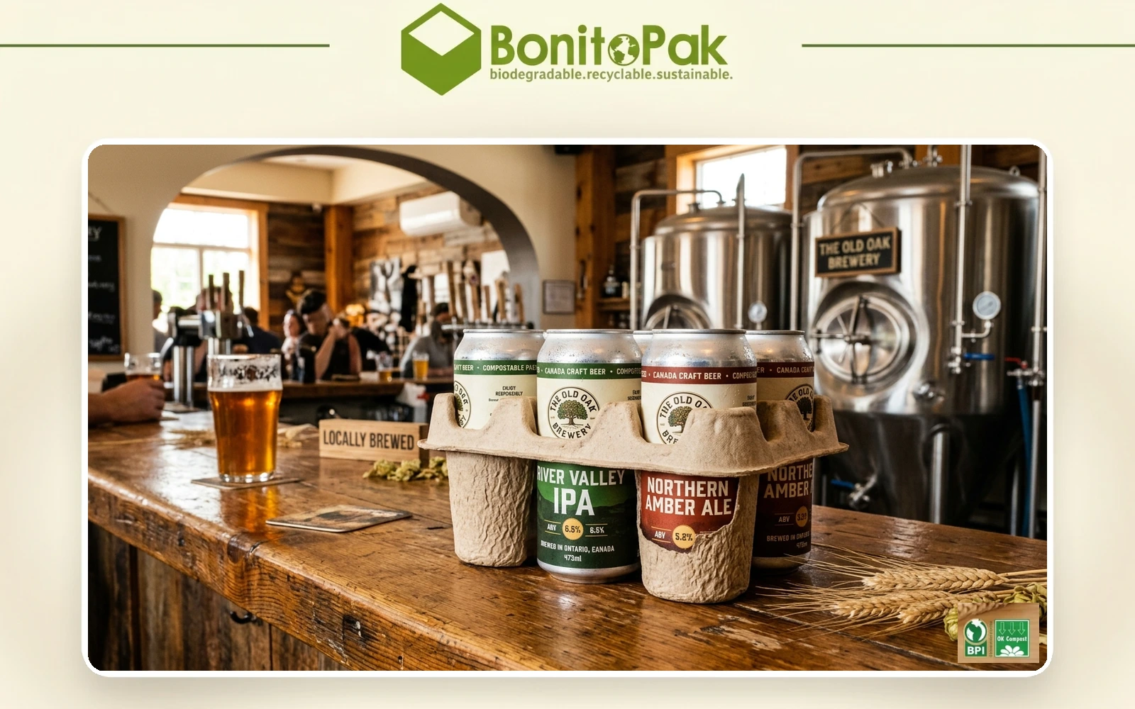 Eco friendly six pack rings Canada beside a moulded fibre can carrier by BonitoPak