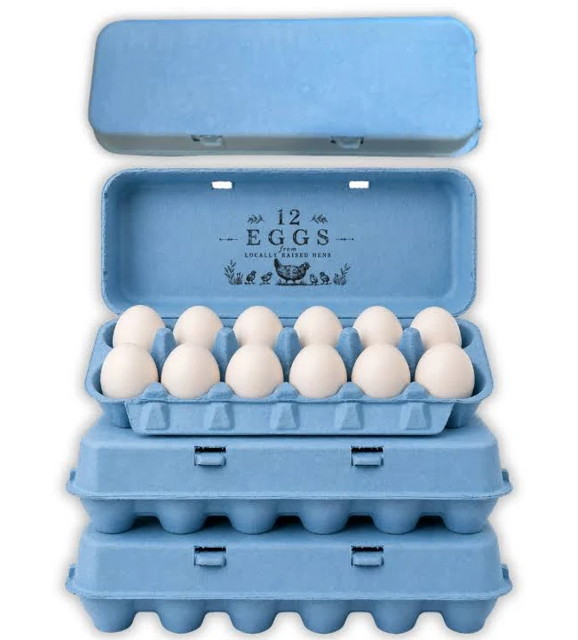 Blue egg cartons in molded pulp holding pale blue Araucana eggs